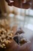 Picture of Rose Radiance Bath Tea